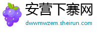 安营下寨网